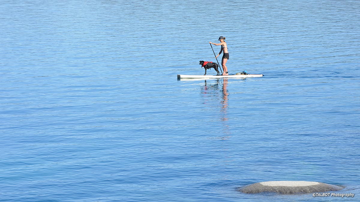 Come Visit . . . And Bring the Dog Lake Tahoe