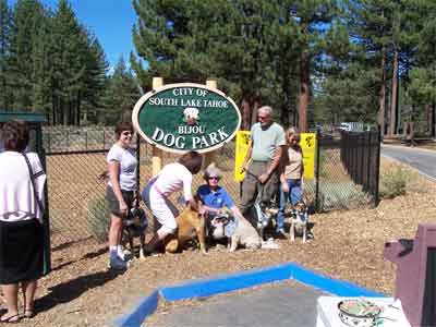 Dog Friendly Beaches Of Lake Tahoe