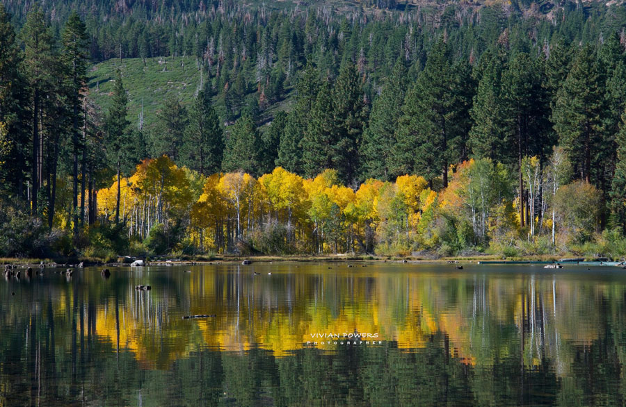 5 Reasons Why Fall is Fantastic for Visiting Lake Tahoe | Lake Tahoe