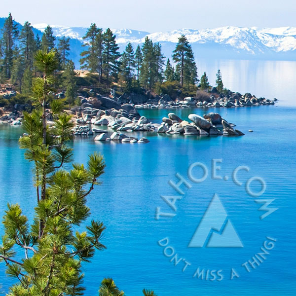 Tahoe Flow Arts & Fitness