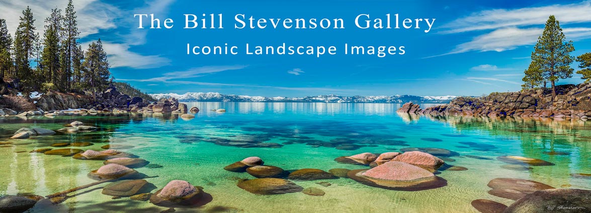 Bill Stevenson Gallery