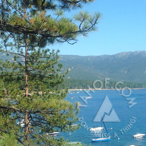 Rotary Club of Tahoe City