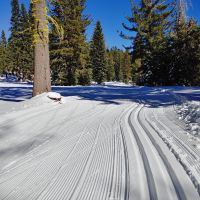 Nevada Nordic, Cross-Country Skiing Returns to Nevada – In Our Backyard!