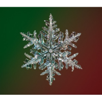 Snowflake image