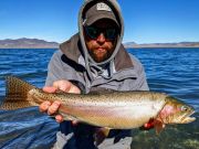 Trout Creek Outfitters, Fly Fishing Report for Feb 18, 2022