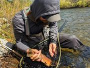 Trout Creek Outfitters, May 27, 2022 Fly Fishing Report for Truckee Tahoe Region