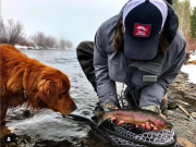 Mountain Hardware & Sports, Truckee River Fishing Report - Nov. 28th