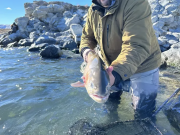 Mountain Hardware & Sports, Lakes Fishing Report