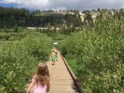 Daisy Trails Forest Preschool, Summer Saturday Camp (Kids Ages 2-8)