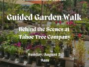 Tahoe Tree Company, Demonstration Garden: Guided Garden Walk – Behind the Scenes of TTC