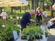 Tahoe City Downtown Association, High Elevation Gardening Series with UC Davis TERC
