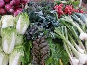 Truckee Certified Farmers Market, Truckee Certified Farmers Market