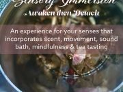 Bliss Experiences, Sensory Immersion