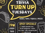 Alibi Ale Works, Tessa’s Trivia Turn Up with Tacos, Taps + Tequila