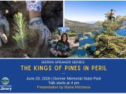 Sierra State Parks Foundation, Sierra Speaker Series: The King of Pines in Peril
