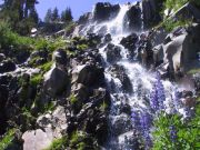Tahoe Rim Trail Association, Autumn Exploration Series with TINS: Galena Falls Wildflower Hike