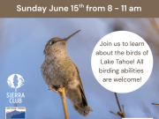Sierra State Parks Foundation, Guided Birding Walk