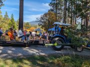 Tahoe City Public Utility District, Harvest Fest