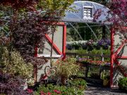 Tahoe Tree Company, Community Garden: How to Alpine Gardening
