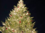 Lake Tahoe Events, Tree Lighting with Santa