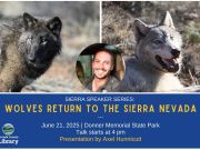 Sierra State Parks Foundation, Sierra Speaker Series: Wolves Return to the Sierra Nevada