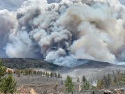 UC Davis Tahoe Science Center, Fire Risk, Fire Behavior & Post-Fire Forest Resilience with Dr. Andrew Latimer