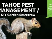 North Tahoe Recreation & Parks, Community Garden Workshop - Tahoe Pest Management & DIY Garden Scarecrow