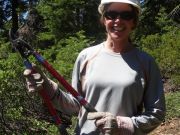 Tahoe Rim Trail Association, Ophir Creek Trail Work Day