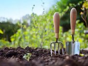 Organic gardening at high elevation is tricky! Get expert instruction for free at the Grow Your Own workshops.