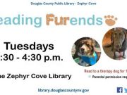 Zephyr Cove Library, Reading Furends