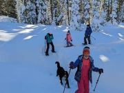 North Lake Tahoe SNOWFEST, Introduction to the Wonders and Simplicity of Snowshoeing