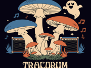 Crystal Bay Casino, Creeper's Ball After Party with Tracorum