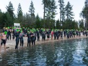 Big Blue Adventure, Sand Harbor Sharkfest Swim