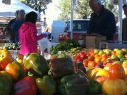 Certified Farmers Market in South Lake Tahoe