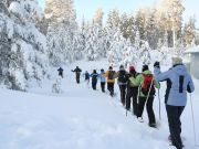 Tahoe Adventure Company, Daytime Snowshoe Tours