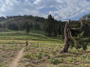 Start Haus, Weekly Mountain Bike Shop Rides