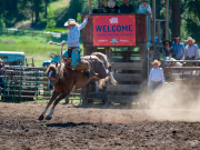 Keep Memory Alive's Summer Rodeo Keep Memory Alive's Summer Rodeo