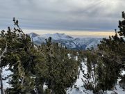 Tahoe Rim Trail Association, Whitebark Pine Hike with SPF