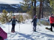 Tahoe Rim Trail Association, Winter Wildlife Survival Snowshoe Hike with TINS