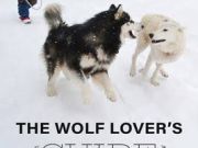 South Lake Tahoe Library, Oliver Starr, author of The Wolf Lover's Guide to Raising Dogs, speaks at the SLT Library