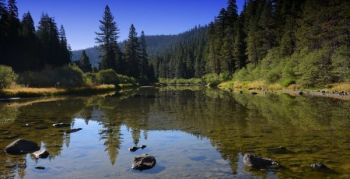 Mountain Hardware & Sports, Truckee Fishing Report - July 29th