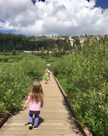 Daisy Trails Forest Preschool, Summer Saturday Camp (Kids Ages 2-8)