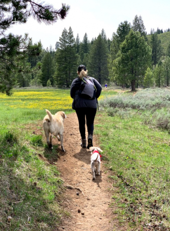 Carmen Carr Real Estate, Guided Hike: Mt. Judah Loop