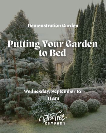 Tahoe Tree Company, Demonstration Garden: Putting Your Garden to Bed for Winter