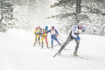 The Great Ski Race, SNOWFEST: The Great Ski Race