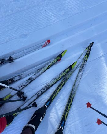 Tahoe XC, Ski Swap Drop Off Days