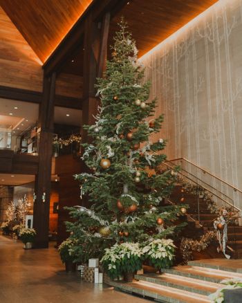 Edgewood Tahoe Resort, Annual Christmas Tree Lighting