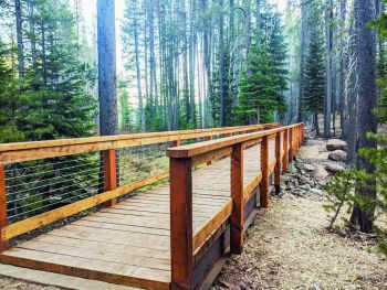Tahoe Donner, Nature Loop Boardwalk Staining Project