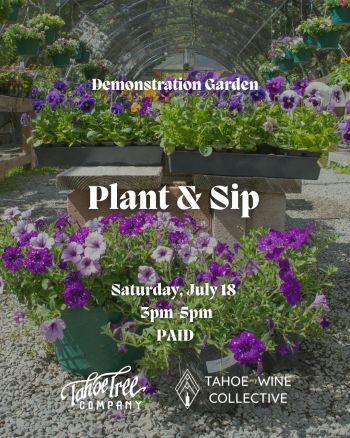Tahoe Tree Company, Demonstration Garden: Plant and Sip
