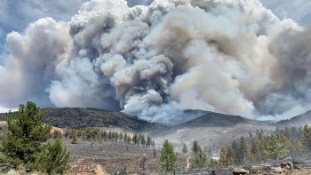 UC Davis Tahoe Science Center, Fire Risk, Fire Behavior & Post-Fire Forest Resilience with Dr. Andrew Latimer
